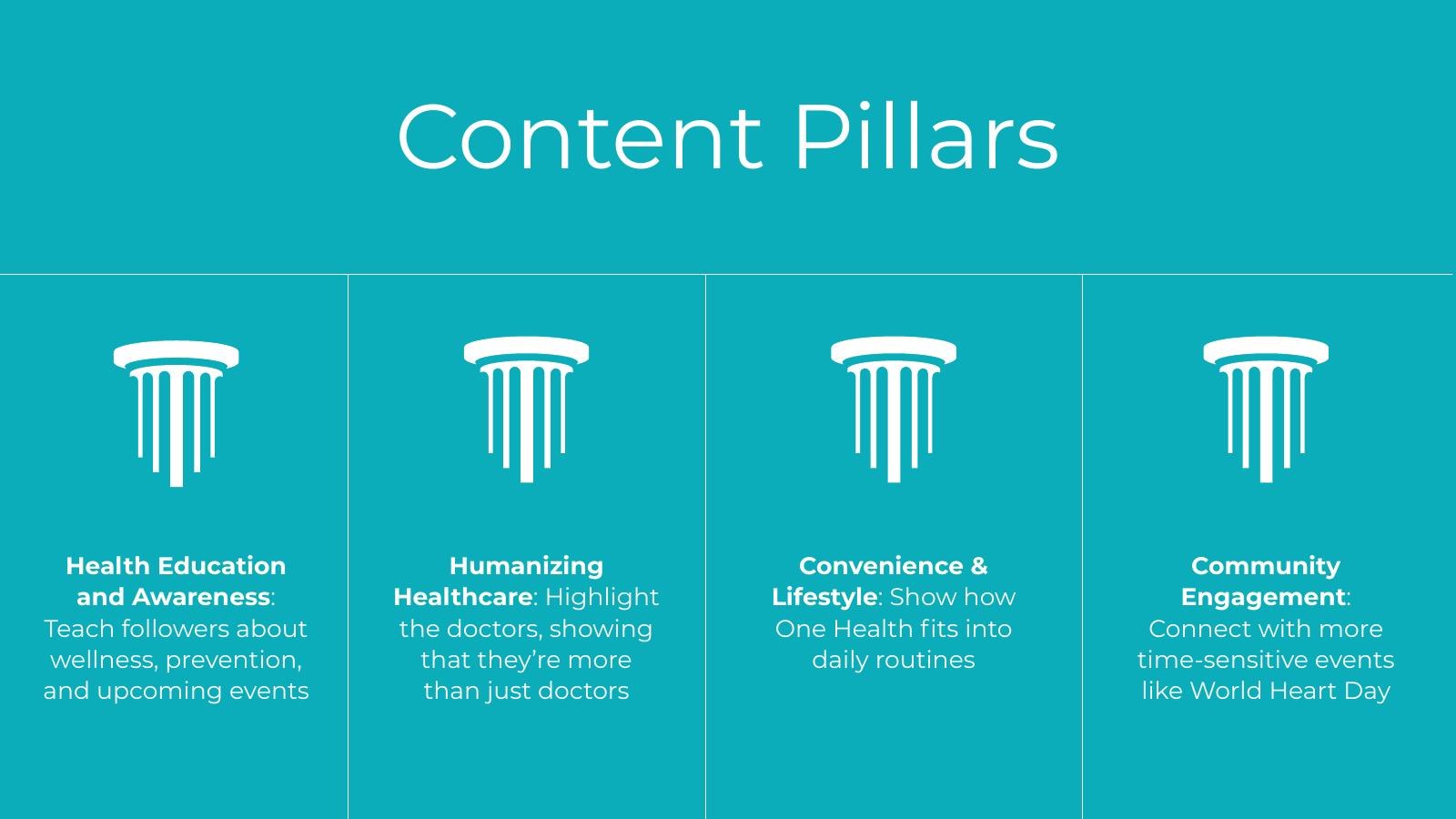 One Health content pillars slide from the project PDF