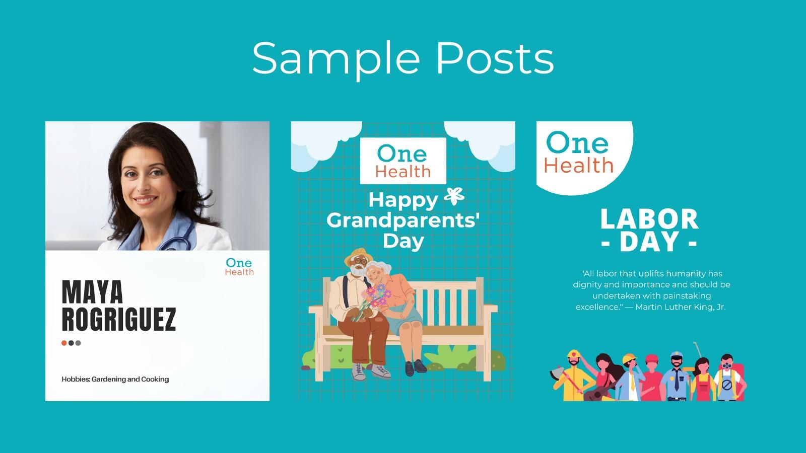 One Health sample posts slide from the project PDF